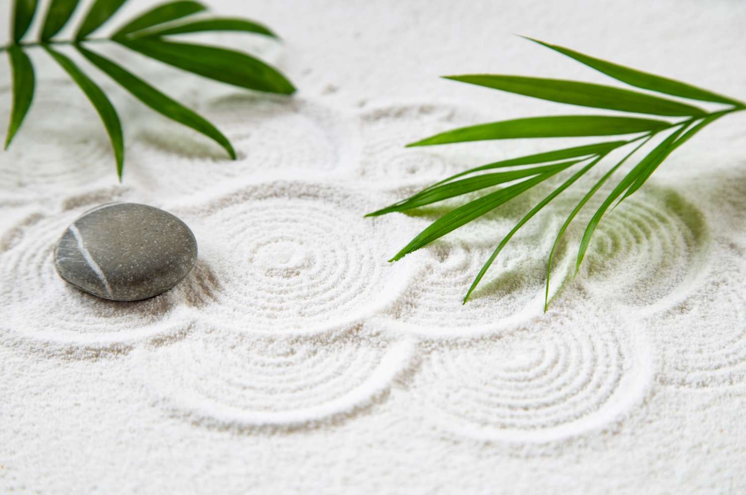 a miniature zen garden