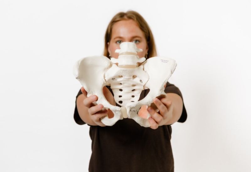 Woman holding a model of a human pelvis (hip bone)