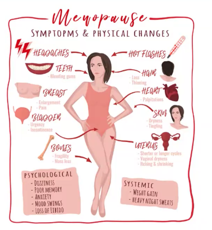 a menopause infographic